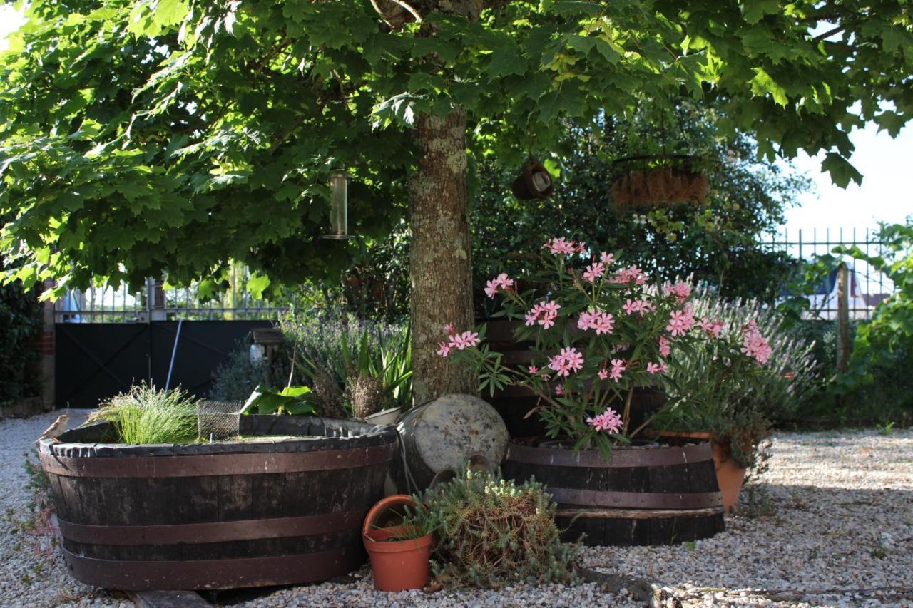 Les Hirondelles Du Moulin Bed & Breakfast Sassay Bagian luar foto