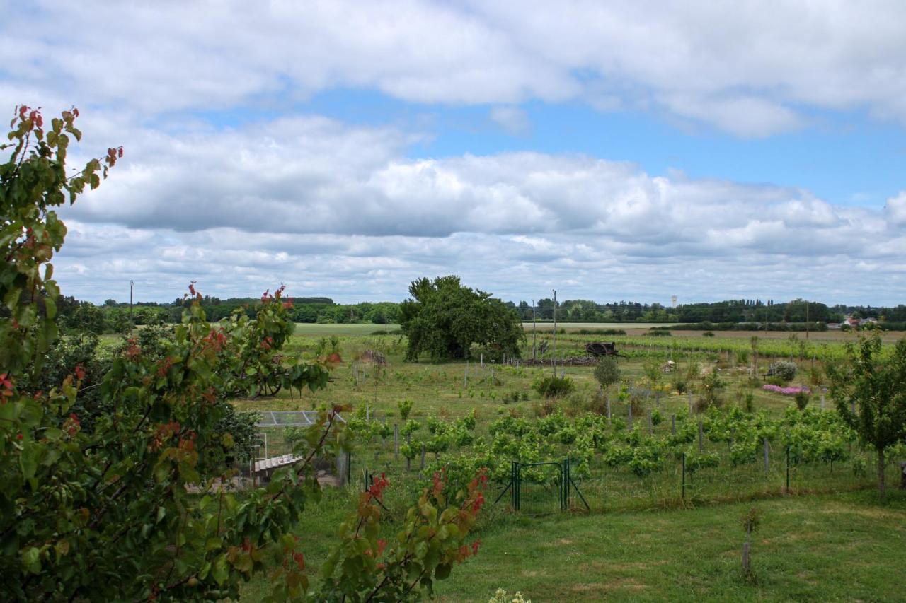 Les Hirondelles Du Moulin Bed & Breakfast Sassay Bagian luar foto