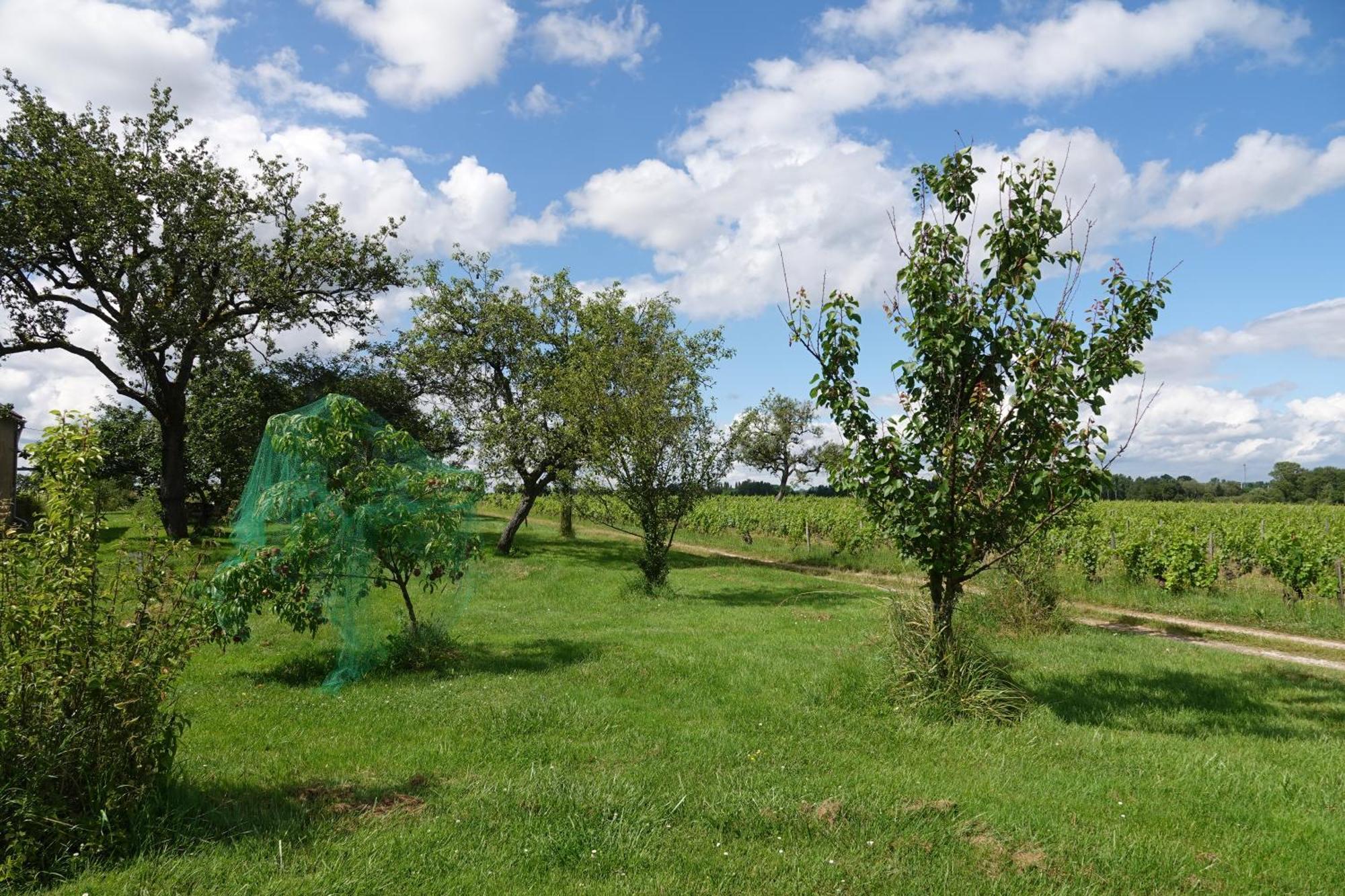 Les Hirondelles Du Moulin Bed & Breakfast Sassay Bagian luar foto