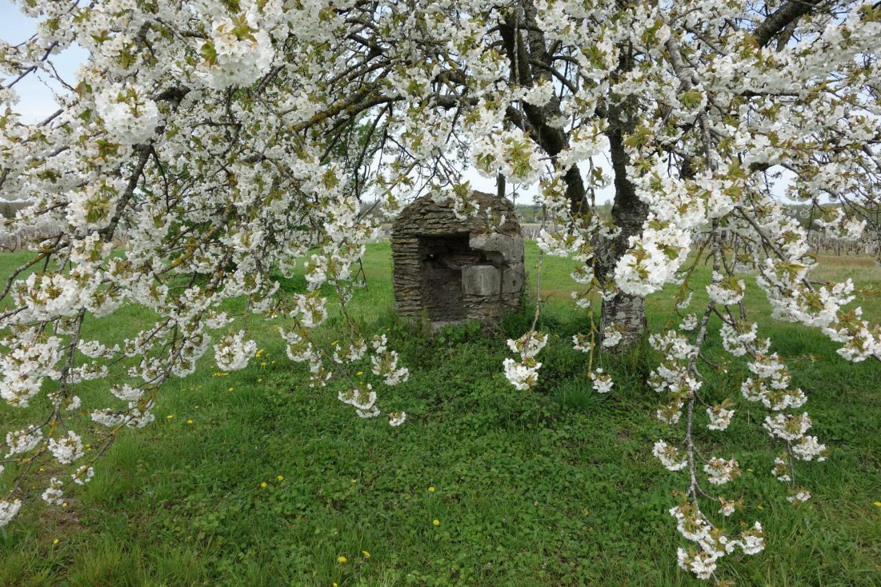 Les Hirondelles Du Moulin Bed & Breakfast Sassay Bagian luar foto